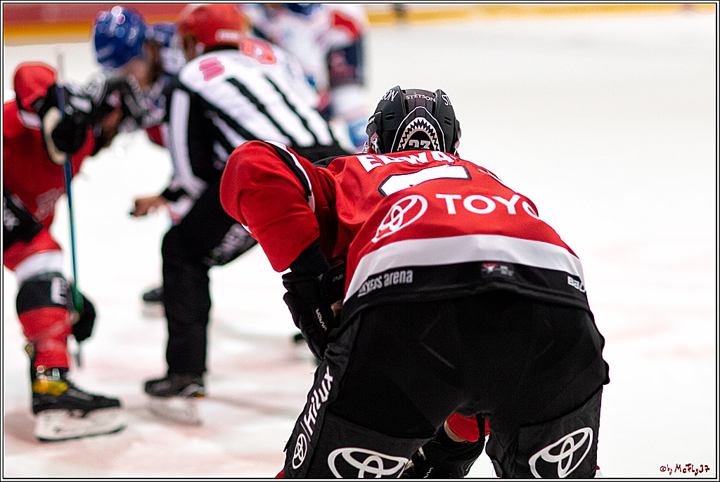 PENNY DEL;  Koelner Haie - Adler Mannheim; Koeln, 19.08.2021